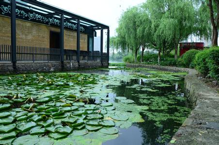 鄞州天气预报10天查询