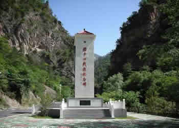 迭部车辆违章查询