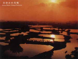 鹤山车辆违章查询