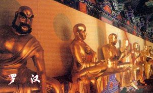 城区车辆违章查询