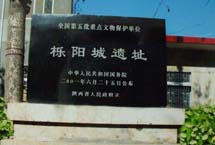 阎良车辆违章查询