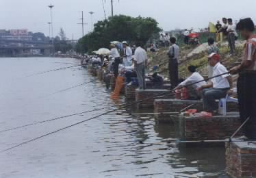 厦门杏林湾钓鱼基地天气