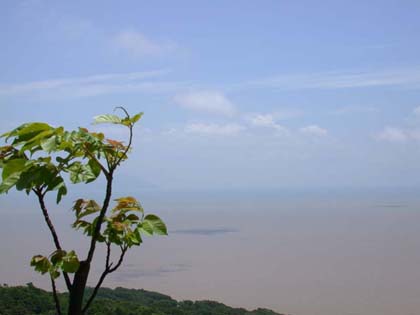 珠海淇澳岛天气