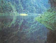 河源桂山天气 河源桂山天气