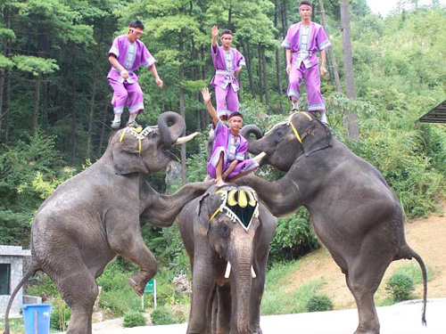 贵阳森林野生动物园天气